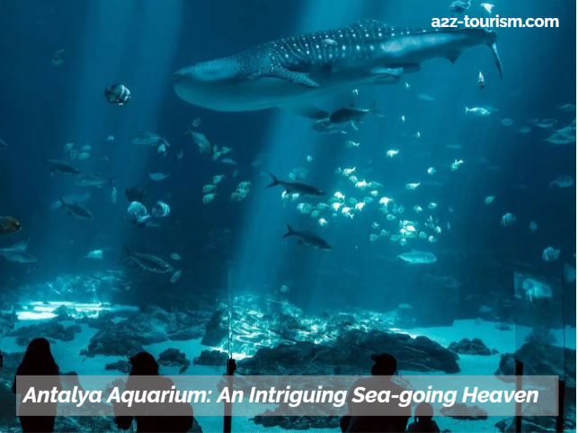 Antalya Aquarium An Intriguing Sea-going Heaven