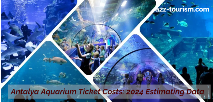 Antalya Aquarium Ticket Costs 2024 Estimating Data