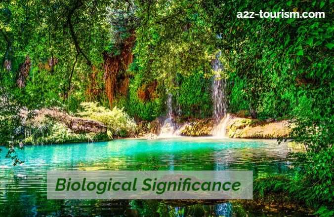 Biological Significance