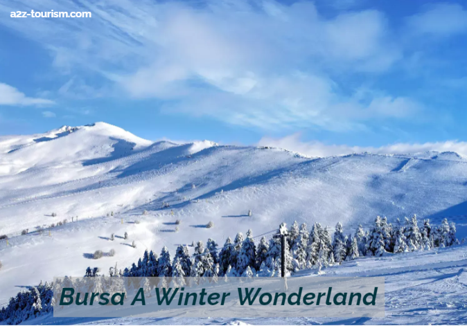 Bursa A Winter Wonderland