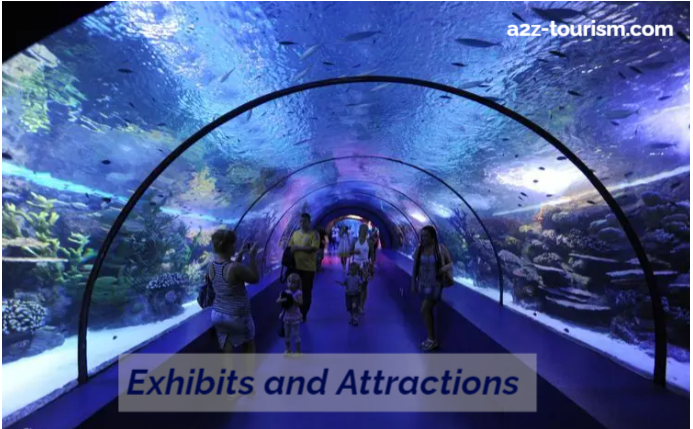 Exhibits and Attractions