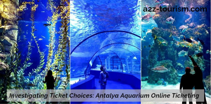 Investigating Ticket Choices Antalya Aquarium Online Ticketing