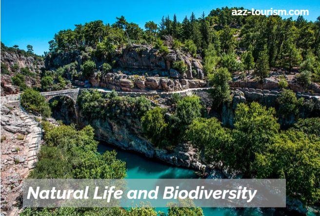 Natural Life and Biodiversity