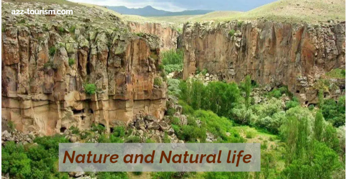 Nature and Natural life