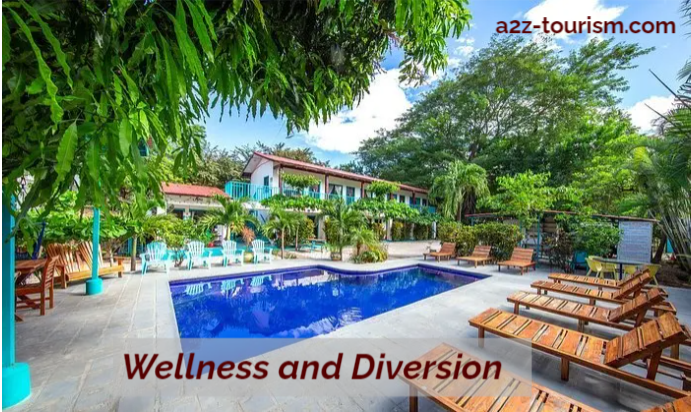 Wellness and Diversion