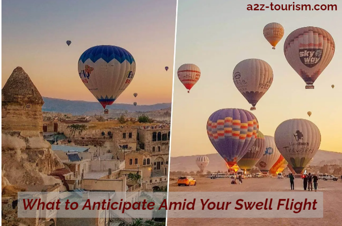 What to Anticipate Amid Your Swell Flight