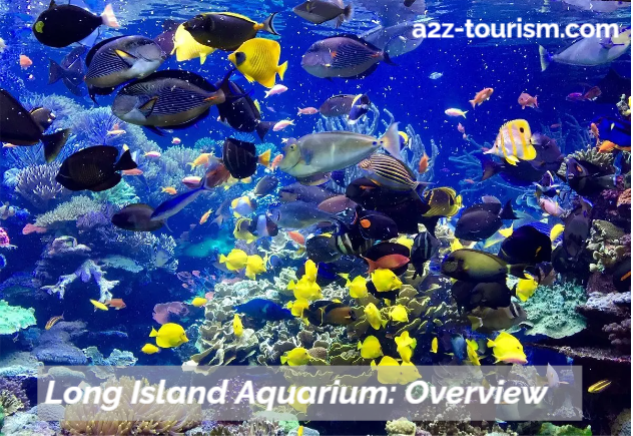 Long Island Aquarium Overview