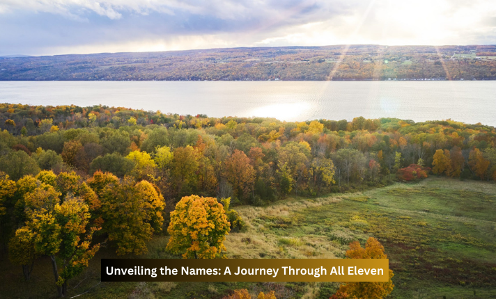 Unveiling the Names: A Journey Through All Eleven