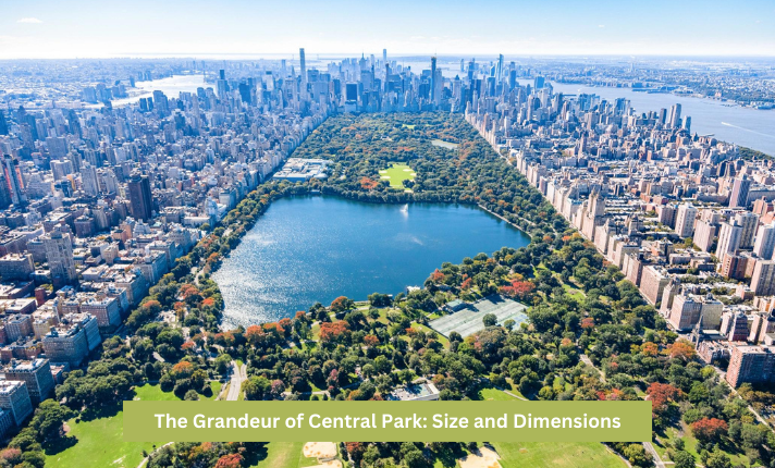 The Grandeur of Central Park: Size and Dimensions