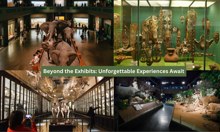 Beyond the Exhibits: Unforgettable Experiences Await