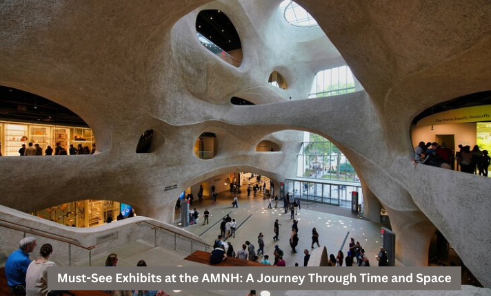 Must-See Exhibits at the AMNH: A Journey Through Time and Space