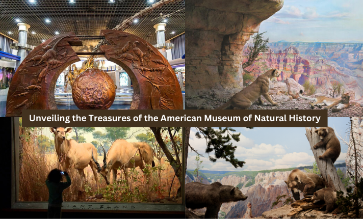 Unveiling the Treasures of the American Museum of Natural History